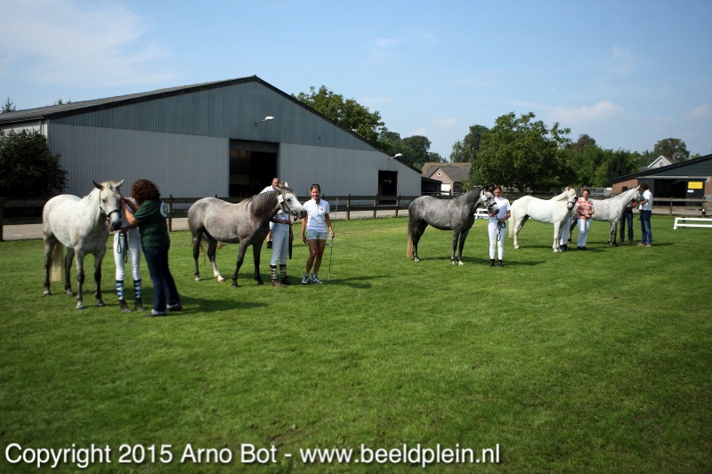 DPP_2011