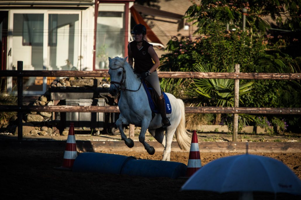 _MG_0752